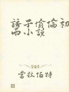 诱子偷伦初尝云雨小说