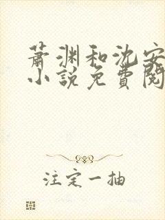 萧渊和沈安安的小说免费阅读