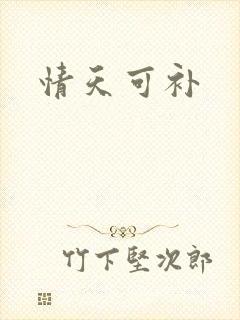 情天可补