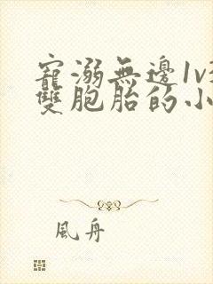 宠溺无边1v3双胞胎的小说