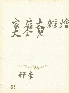 家庭大杂烩小说大全儿