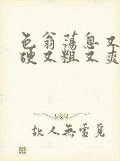 色翁荡息又大又硬又粗又爽电影