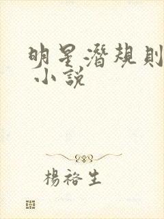 明星潜规则之皇 小说