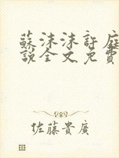 苏沫沫许庭川小说全文免费阅读