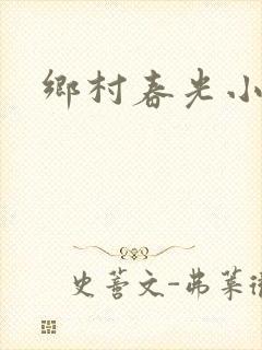 乡村春光小说