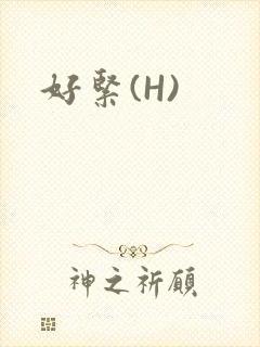 好紧(H)