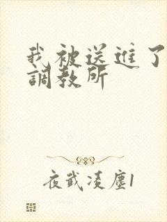 我被送进了私奴调教所