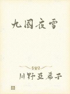 九国夜雪