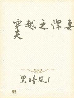 穿越之悍妻共三夫