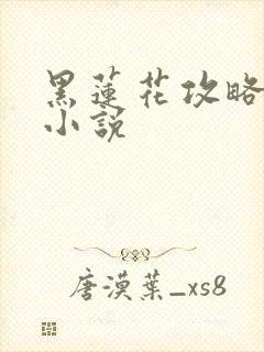 黑莲花攻略手册小说