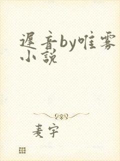 迟音by唯雾的小说