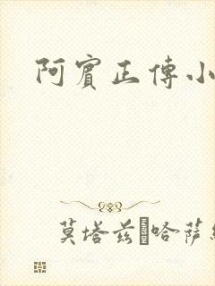 阿宾正传小说