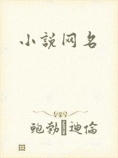 小说网名