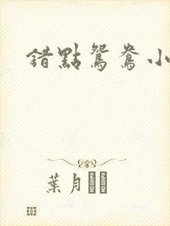 错点鸳鸯小说