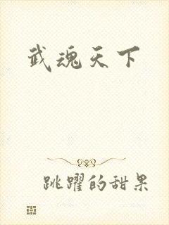 武魂天下