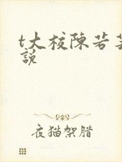 t大校陈若芸小说