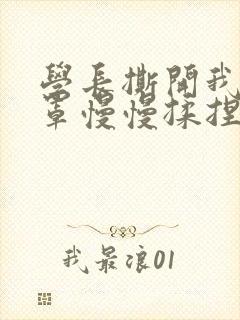 学长撕开我的乳罩慢慢揉捏小说