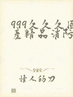 999久久久国产精品消防器材