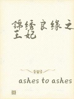 锦绣良缘之北地王妃