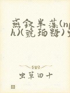 燕钗半落(nph)(琥珀糖)更新