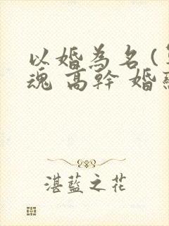 以婚为名 (军魂 高干 婚恋)