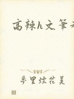 高辣h文笔趣阁