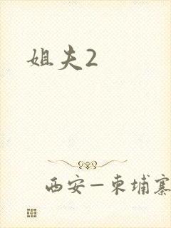 姐夫2