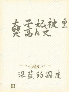 太子妃被皇上c哭高h文