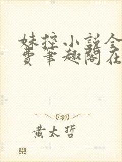 妹控小说全文免费笔趣阁在线阅读