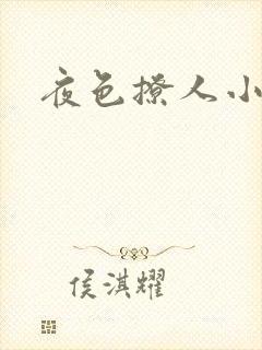 夜色撩人小说