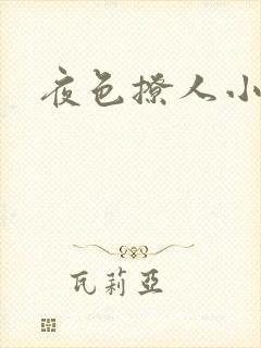 夜色撩人小说