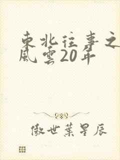 东北往事之黑道风云20年