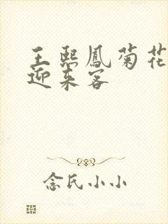 王熙凤菊花门初迎来客