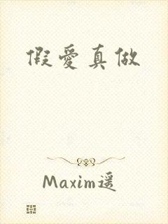假爱真做