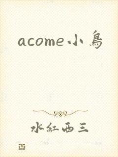 acome小鸟