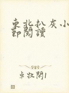 东北扒灰小说分节阅读