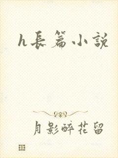h长篇小说