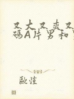 又大又爽又黄无码A片男和男