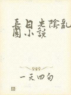 长日光阴乱作一团小说