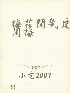 梅花开几度老张周梅封面