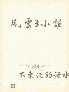风云3小说