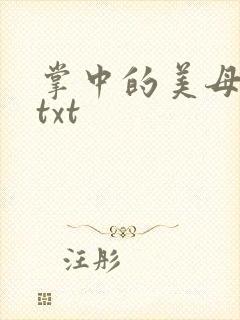 掌中的美母版主txt