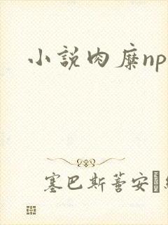 小说肉糜np