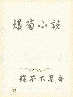爆菊小说