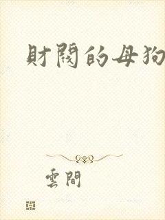 财阀的母狗们