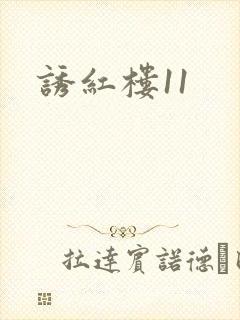 诱红楼11