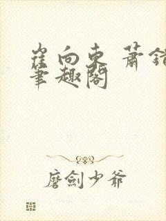 崔向东 萧错 笔趣阁