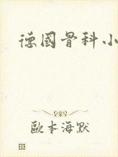 德国骨科小说
