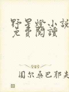 野星灯小说全文免费阅读