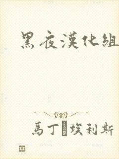 黑夜汉化组